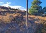 Photo 300230626