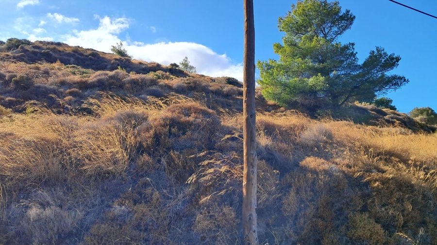 Photo 300230626