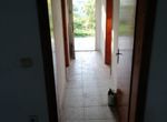 Photo 300636436