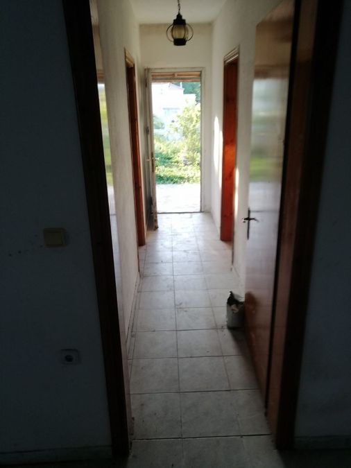 Photo 300636436