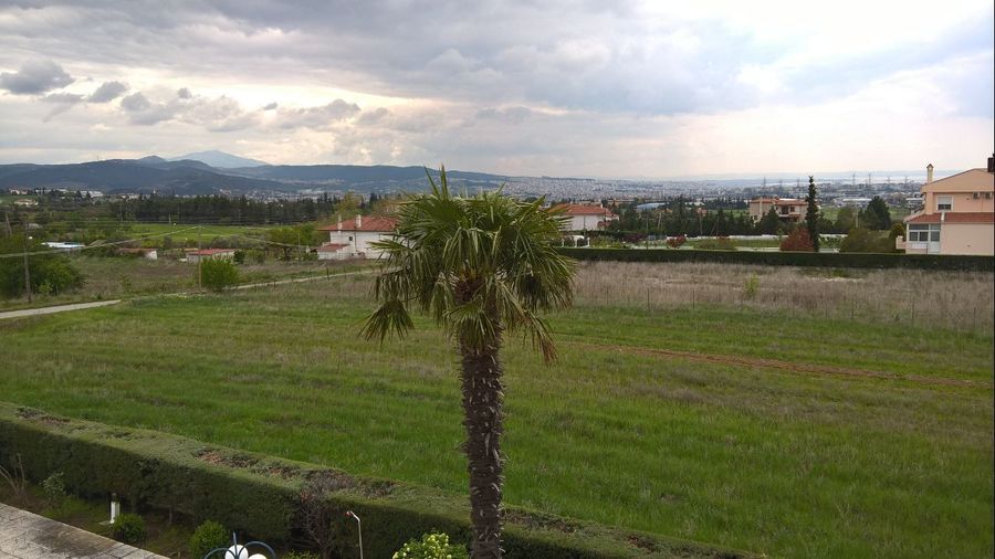 Photo 300963919