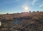 Photo 301216645