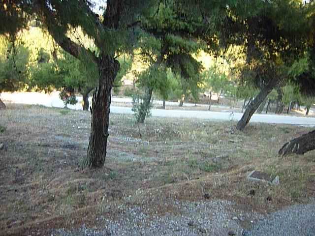 Photo 301223353
