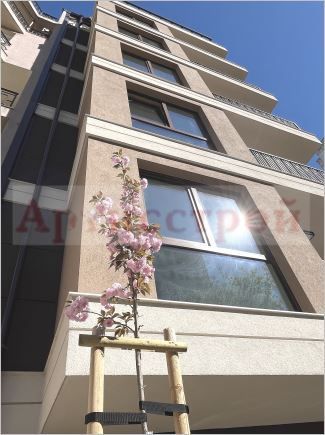 Снимка 301268824