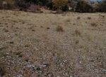 Photo 302455126