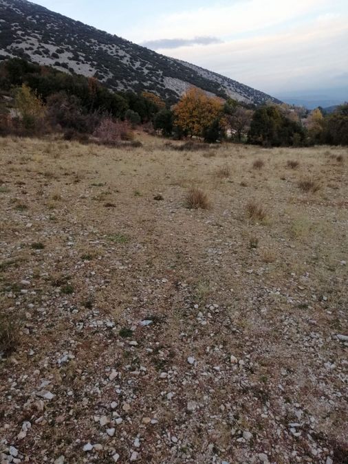 Photo 302455126