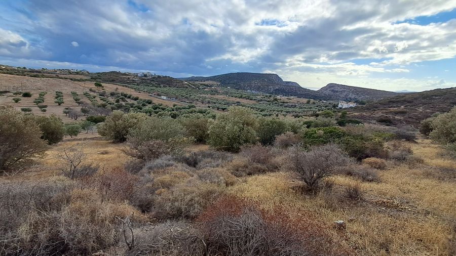 Photo 302488429