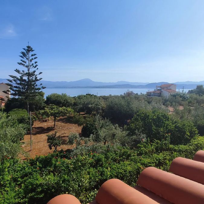 Снимка 302940766