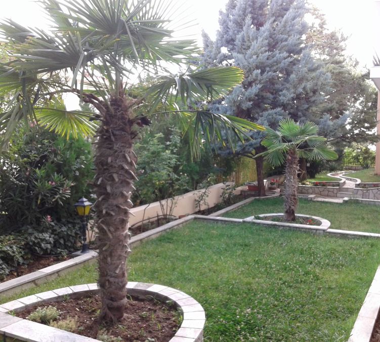 Photo 302941579