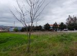 Photo 303244267