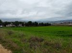 Photo 303244273