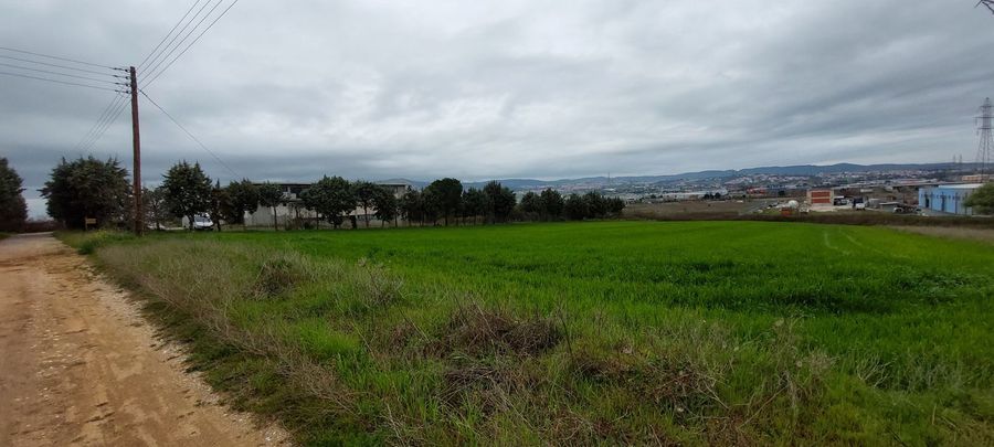 Photo 303244273