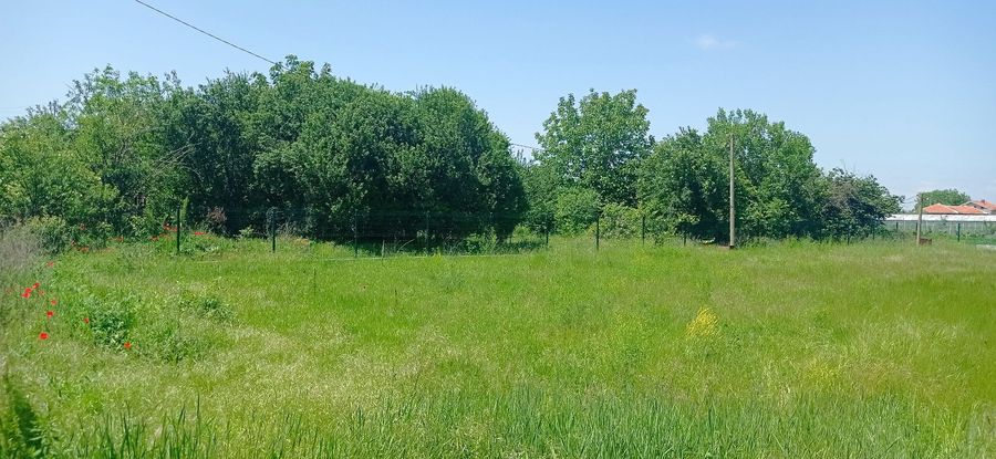 Снимка 303300241