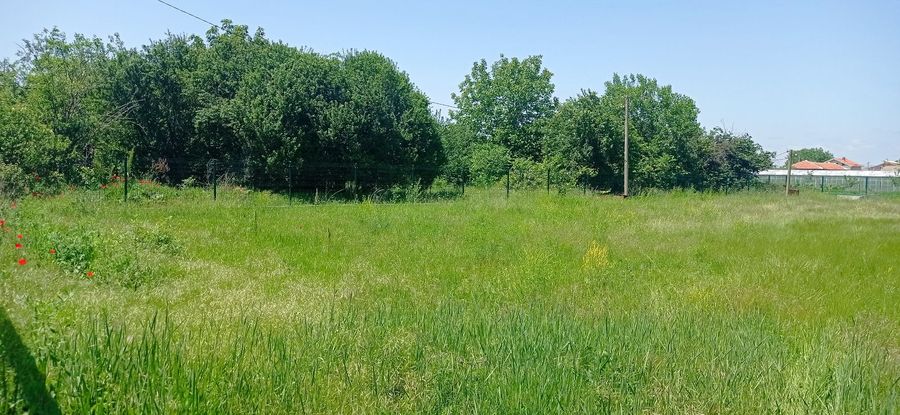 Снимка 303300244