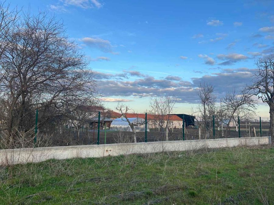 Снимка 303300256