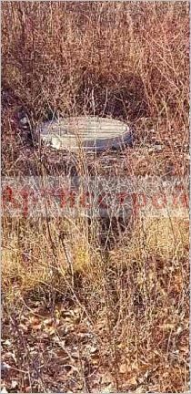 Снимка 303363148