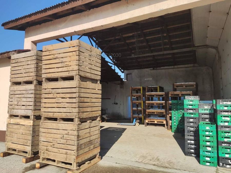 Снимка 303383905