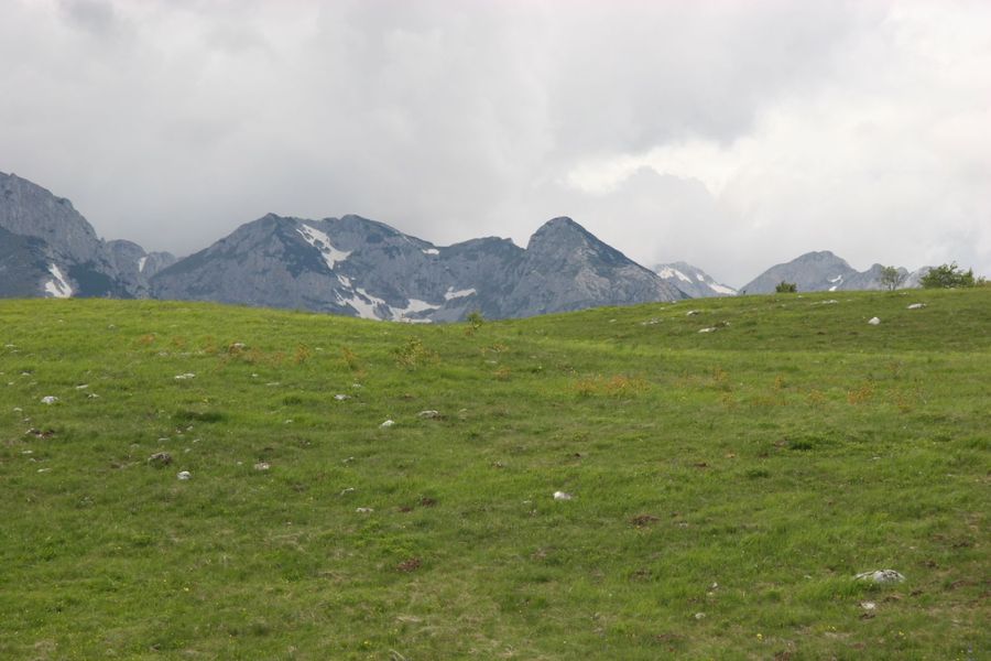 Land Bank, Žabljak (pending UTU / opstina approval or develop now) 5