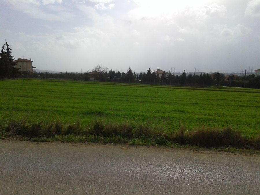 Photo 303854230