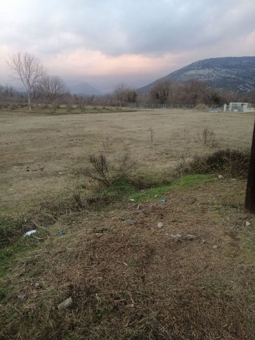 Photo 304078555