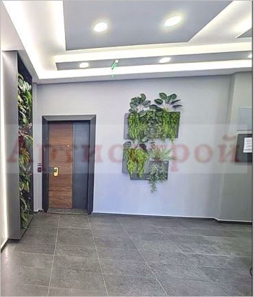 Снимка 304082257