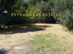Photo 304105774