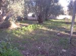 Photo 304105777