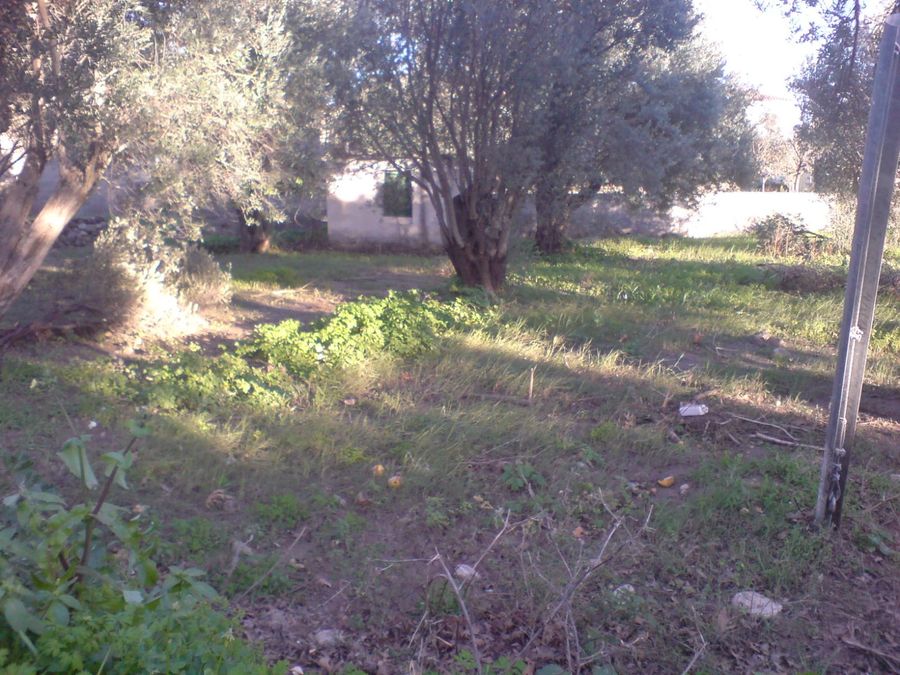 Photo 304105777