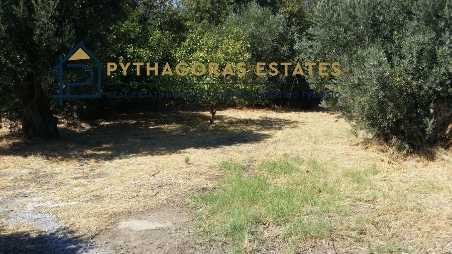 Photo 304105798