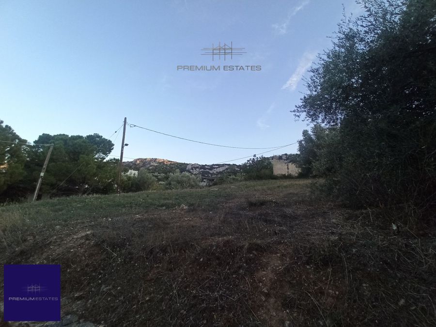 Photo 304112983