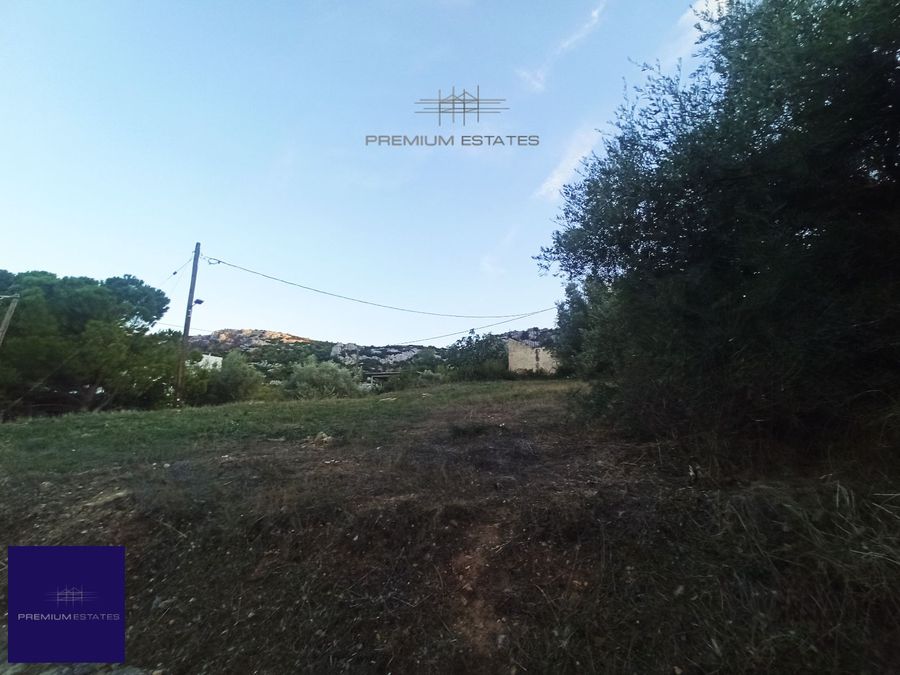 Photo 304112989