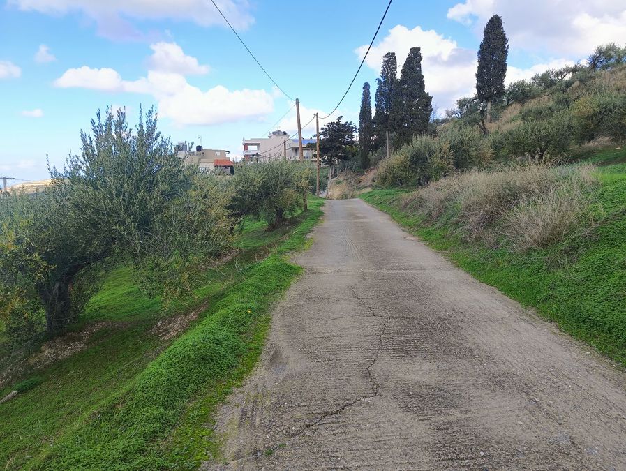 Photo 304214632