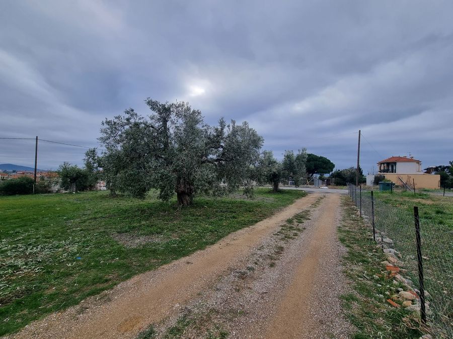 Fotografija 304413439