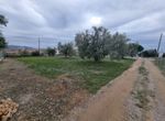 Fotografija 304413448