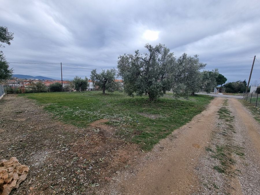 Fotografija 304413796