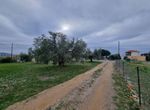 Fotografija 304413799