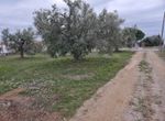 Fotografija 304413802
