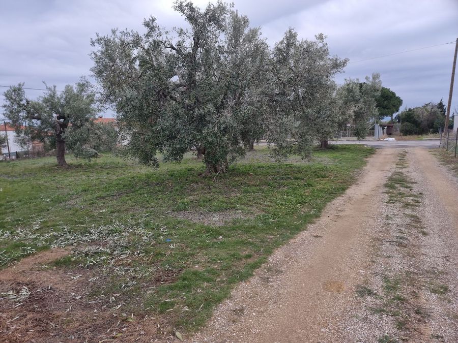 Fotografija 304413802