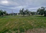 Fotografija 304413811
