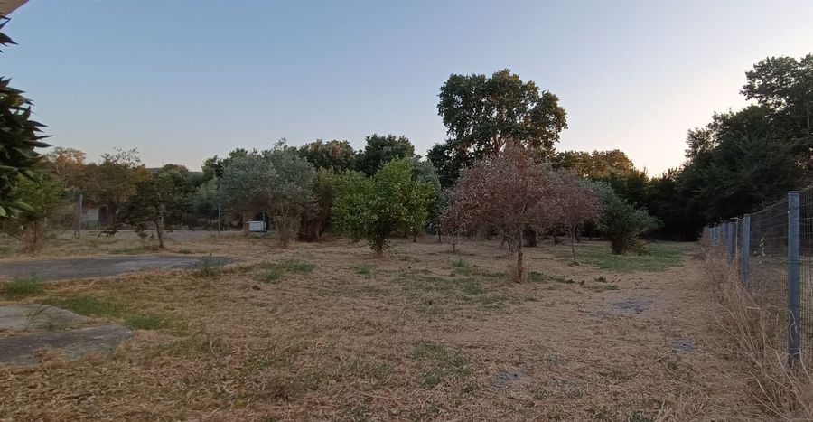 Фото 304827397
