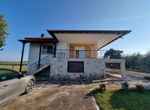 Fotografija 304835902