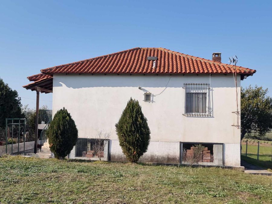 Fotografija 304835905