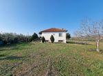 Fotografija 304835908