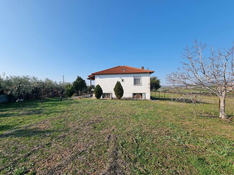 Fotografija 304835908