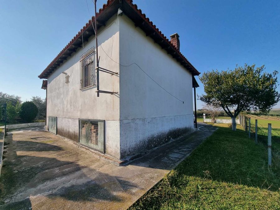 Fotografija 304835911