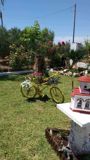 Fotografija 304835977