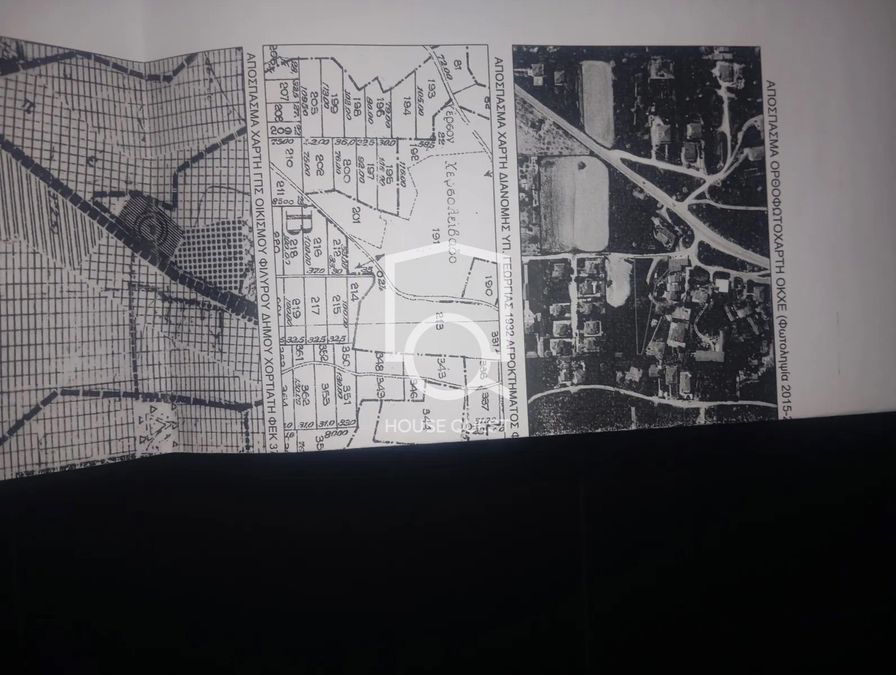Photo 305125426