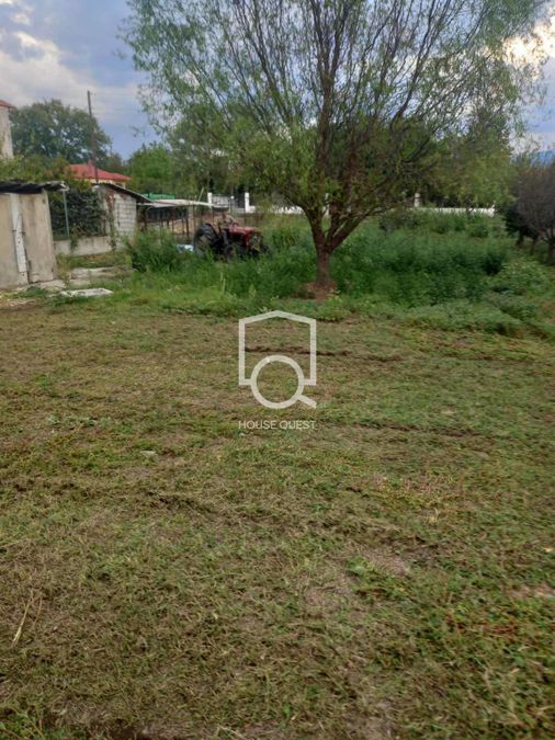 Photo 305311762