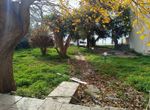 Photo 306160534