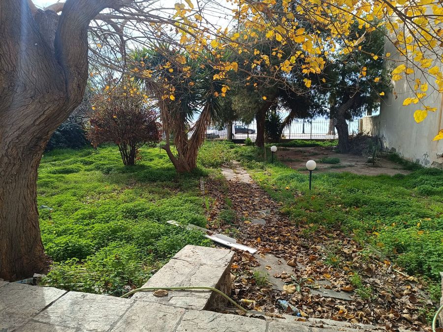 Photo 306160534
